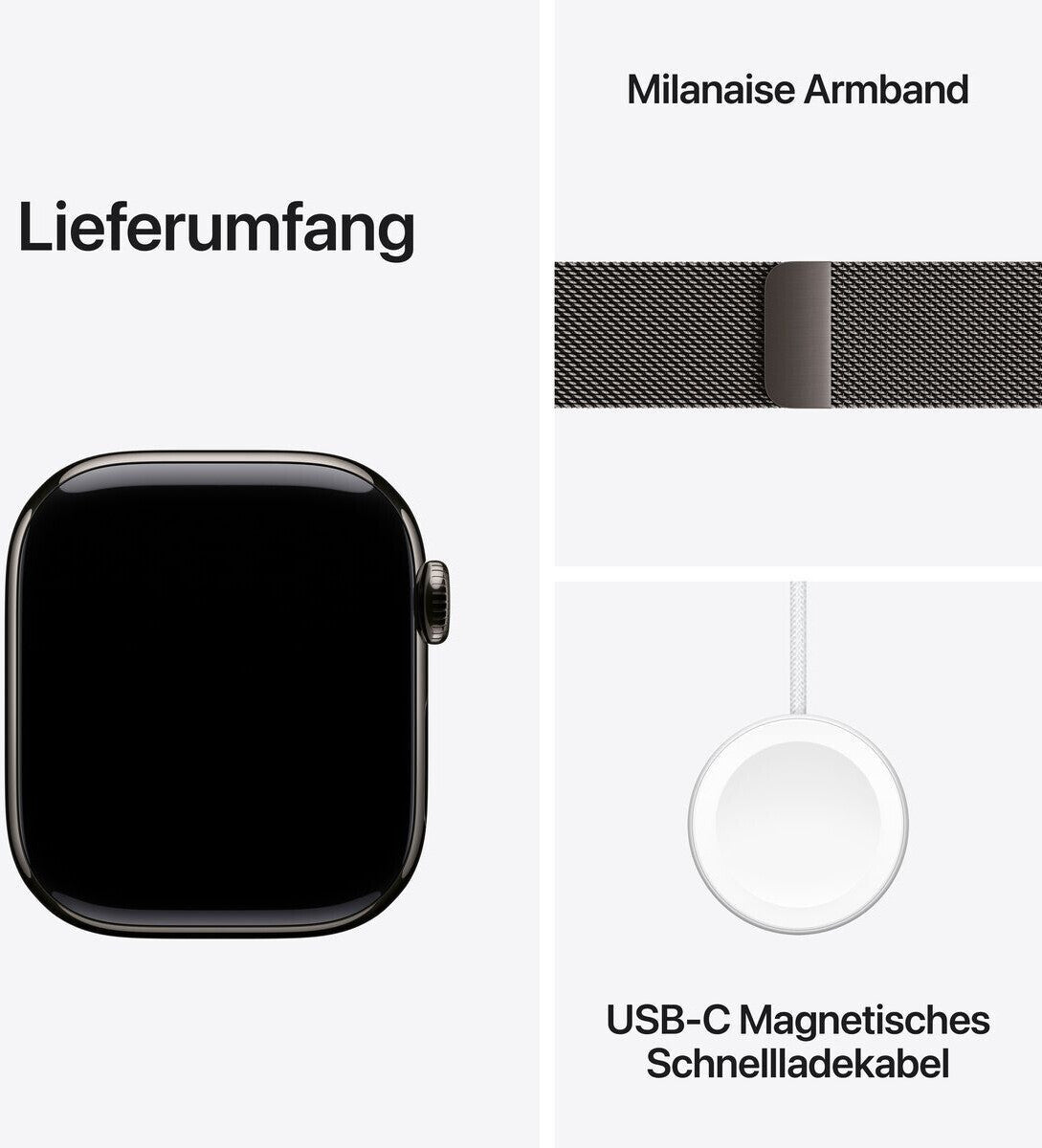 Apple Watch Series 10 4G 42mm Titan Schiefer Milanaise Schiefer